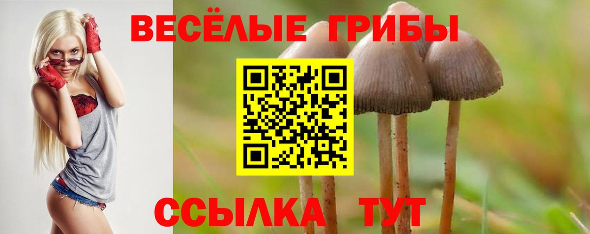 Канск  Псилоцибиновые грибы Magic Shrooms  Вход с VPN 